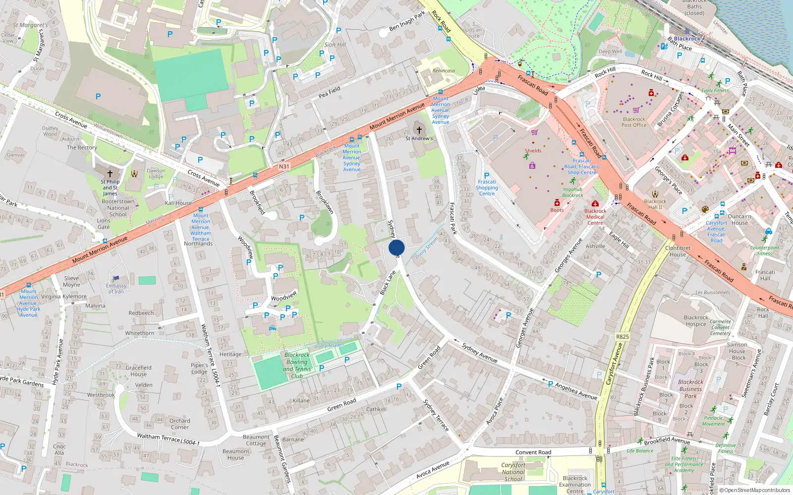 Overhead map showing the location of 18 Sydney Avenue, Blackrock
