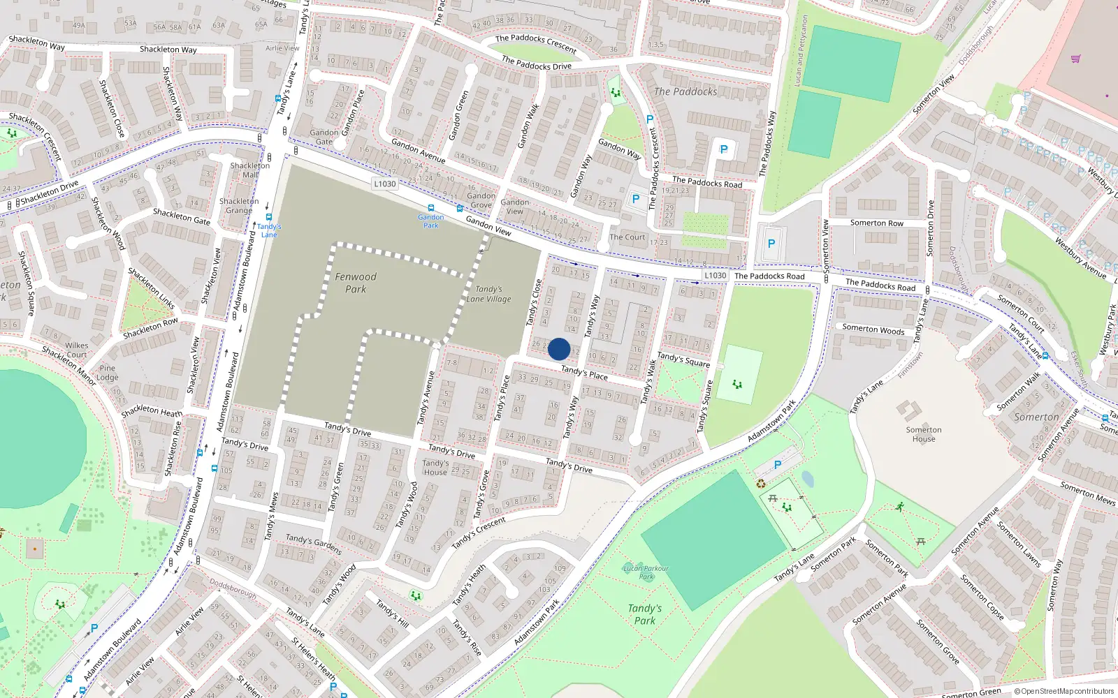 Overhead map showing the location of 18 Tandy's Place, Lucan