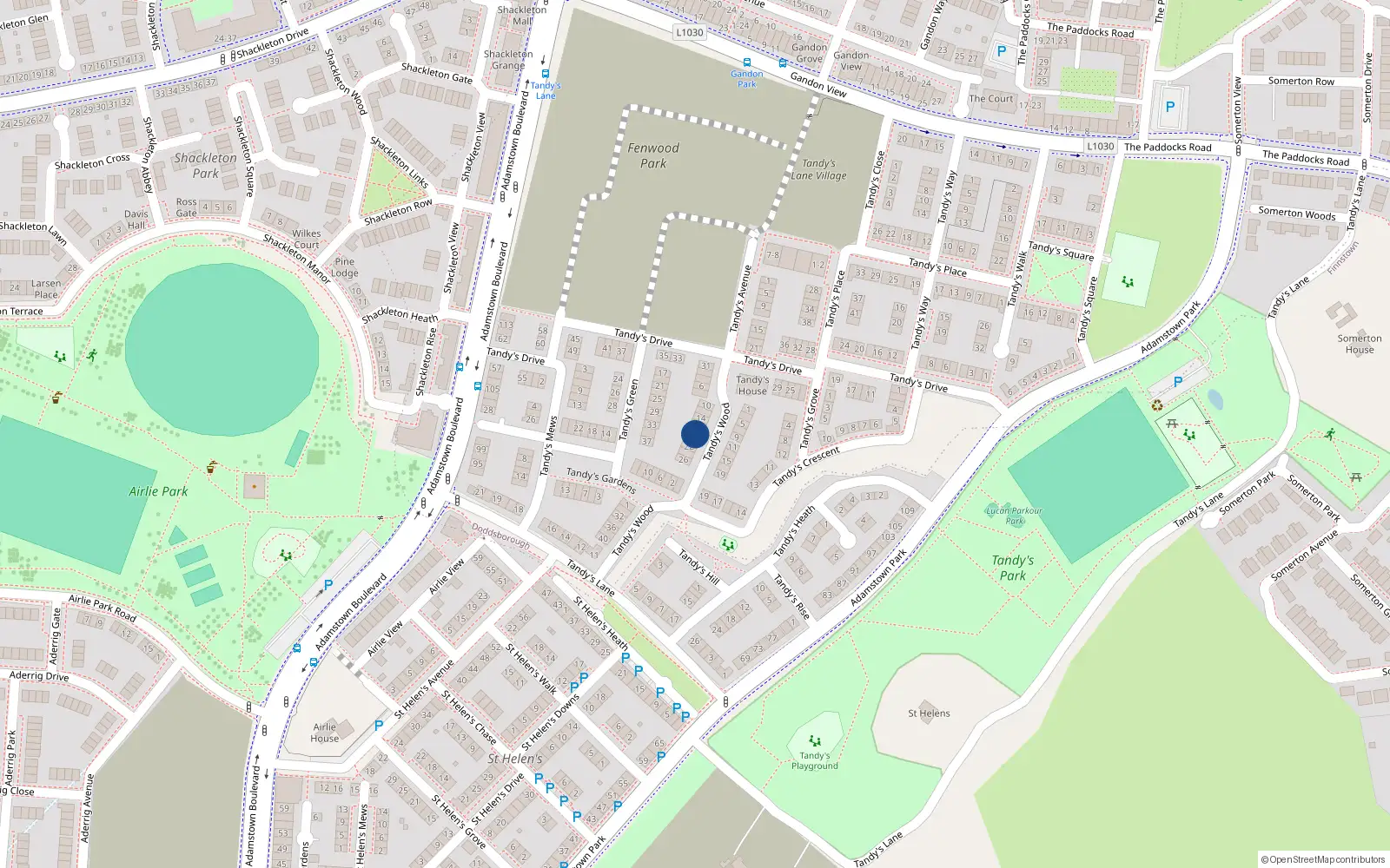 Overhead map showing the location of 18 Tandy's Wood, Adamstown, Lucan