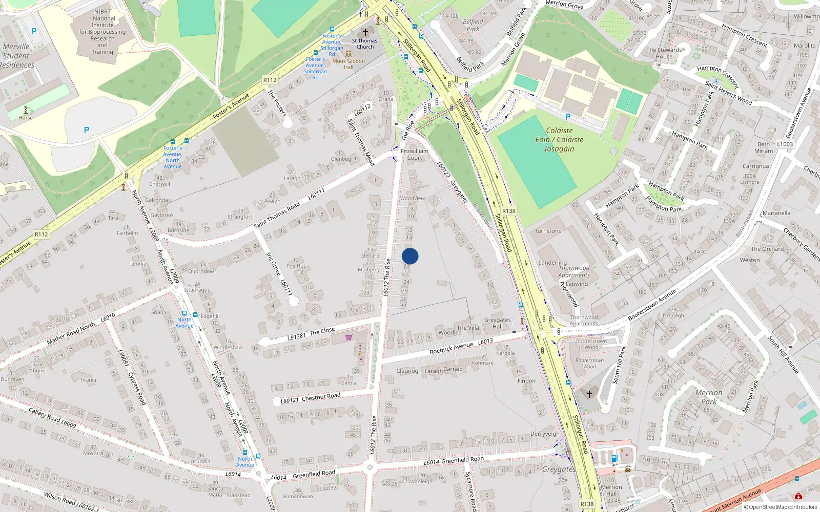 Overhead map showing the location of 18 The Rise, Blackrock