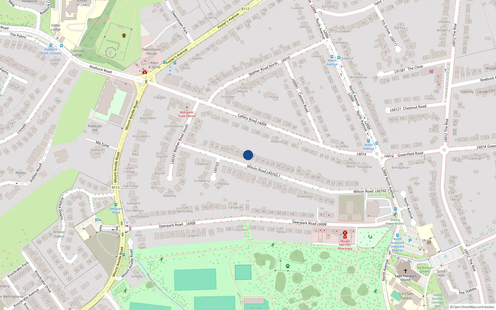 Overhead map showing the location of 18 Wilson Road, Blackrock