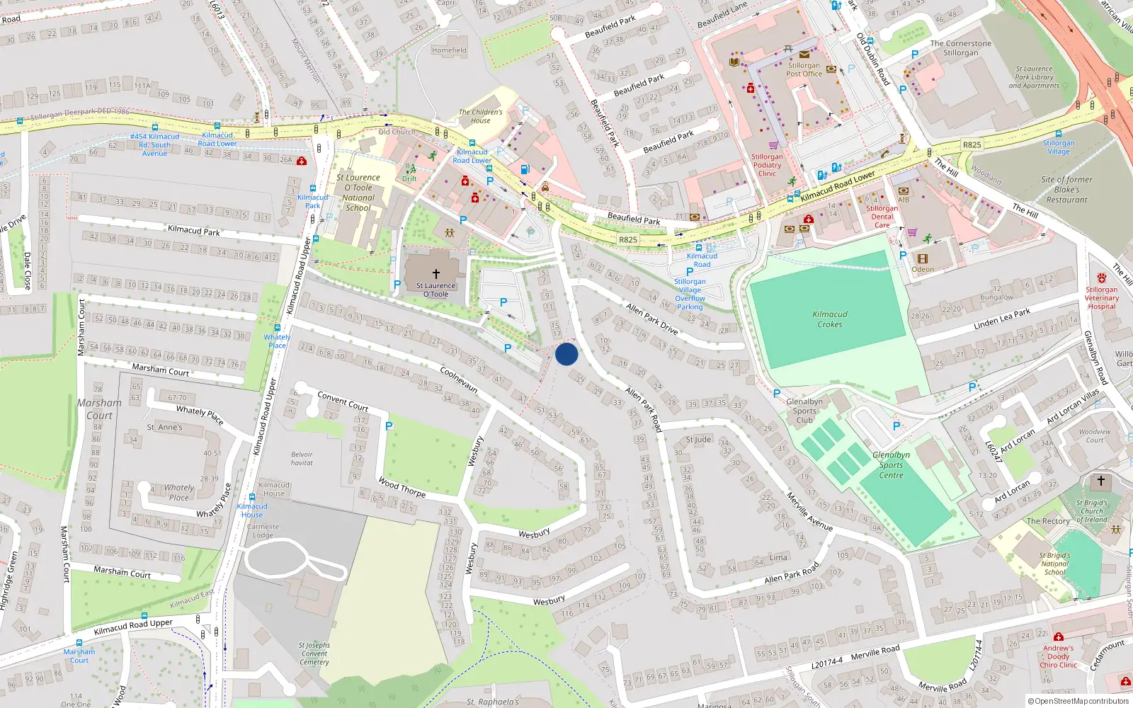 Overhead map showing the location of 19 Allen Park Road, Dublin
