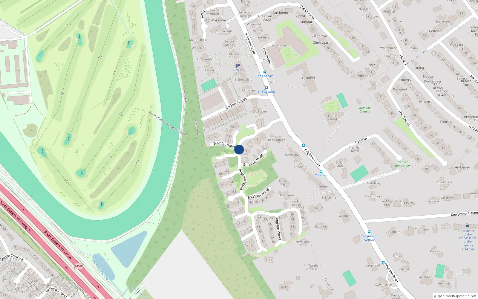Overhead map showing the location of 19 Brighton Wood, Foxrock