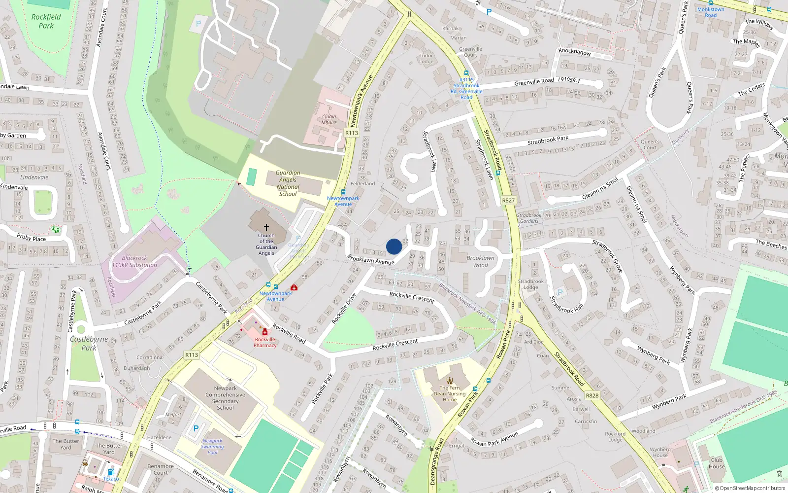 Overhead map showing the location of 19 Brooklawn Avenue, Newtownpark Avenue, Blackrock