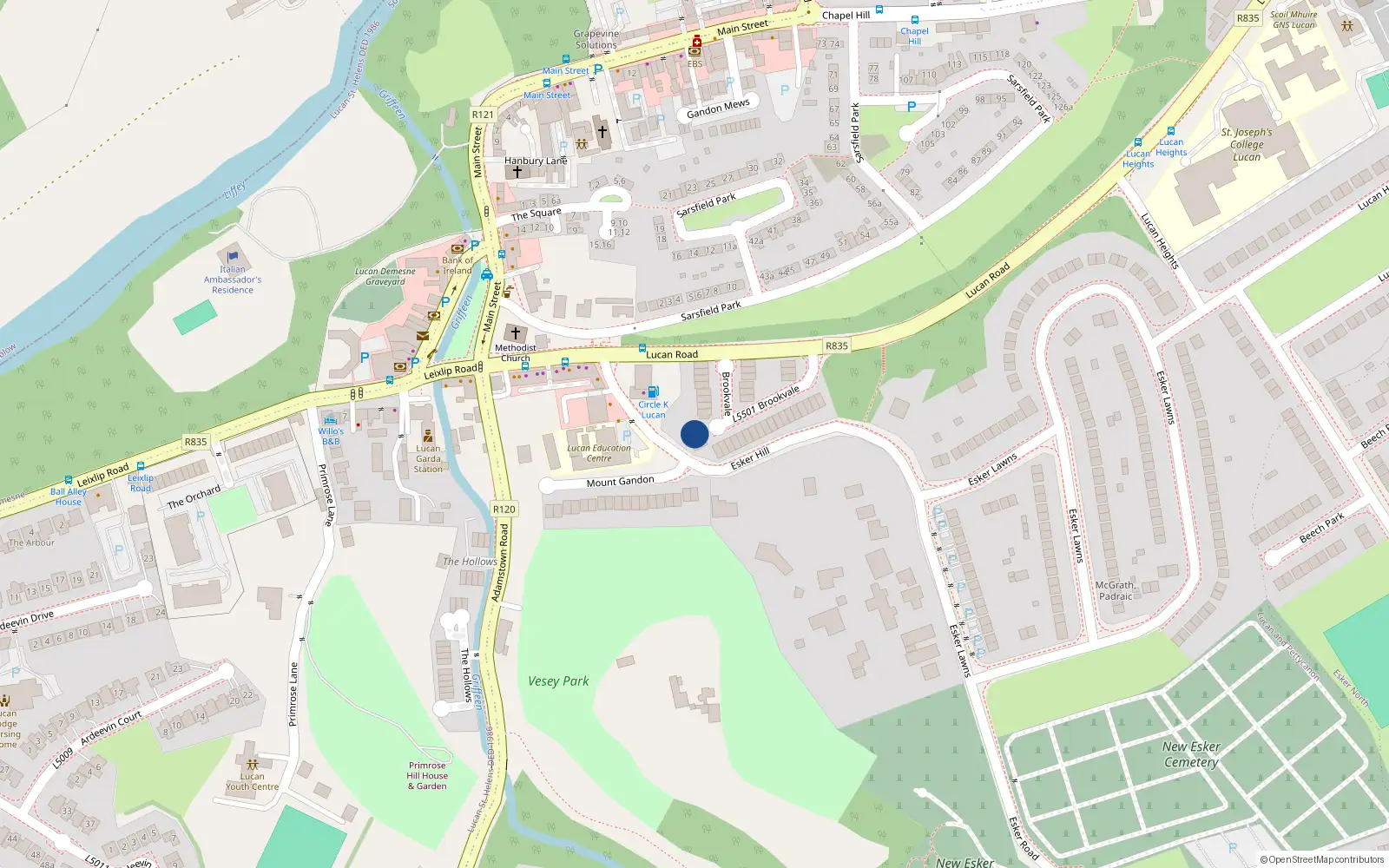 Overhead map showing the location of 19 Brookvale, Lucan