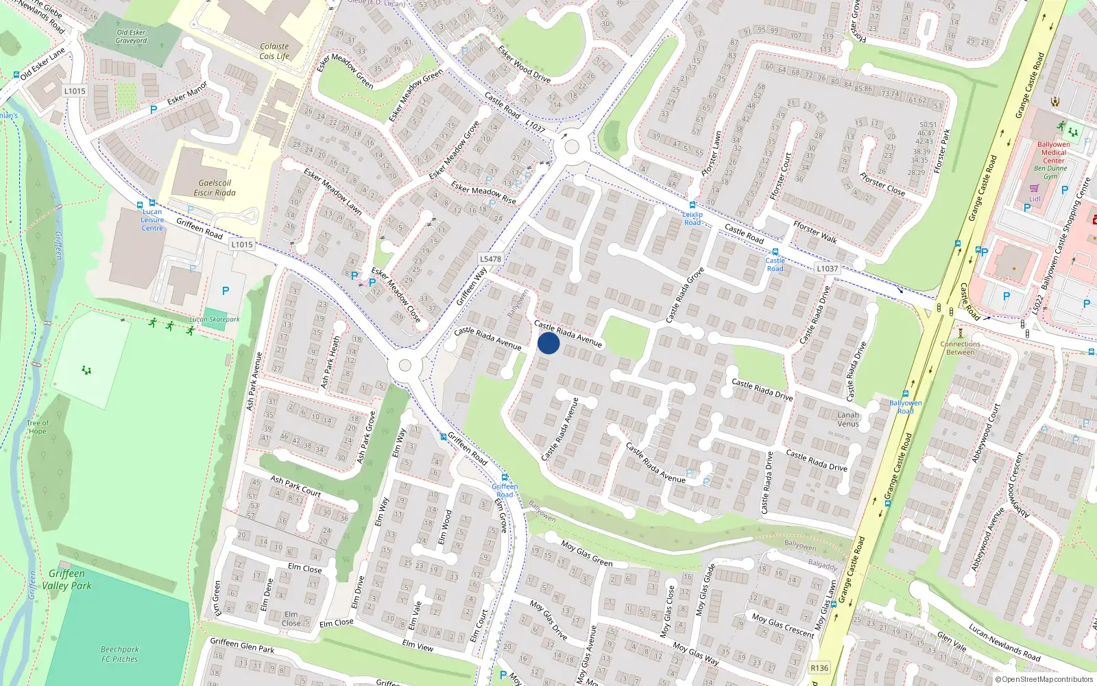 Overhead map showing the location of 19 Caislean Riada Avenue, Castle Road, Lucan