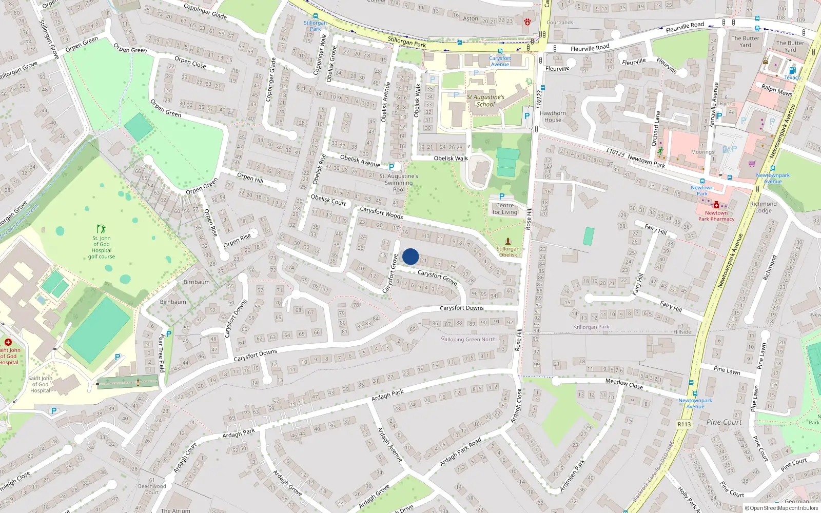 Overhead map showing the location of 19 Carysfort Grove, Blackrock