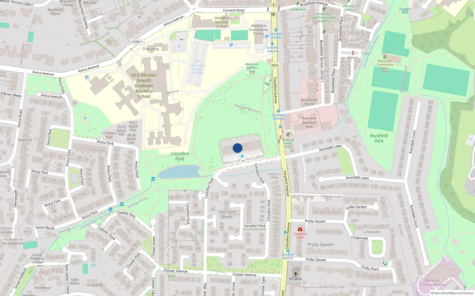 Overhead map showing the location of 19 Carysfort Hall, Carysfort Avenue, Blackrock