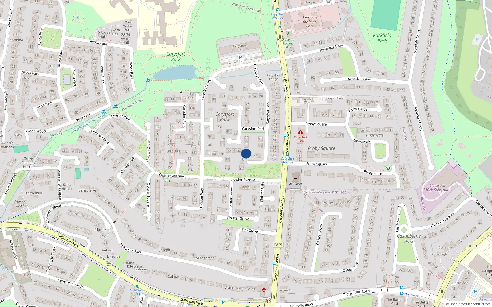 Overhead map showing the location of 19 Carysfort Park, Blackrock