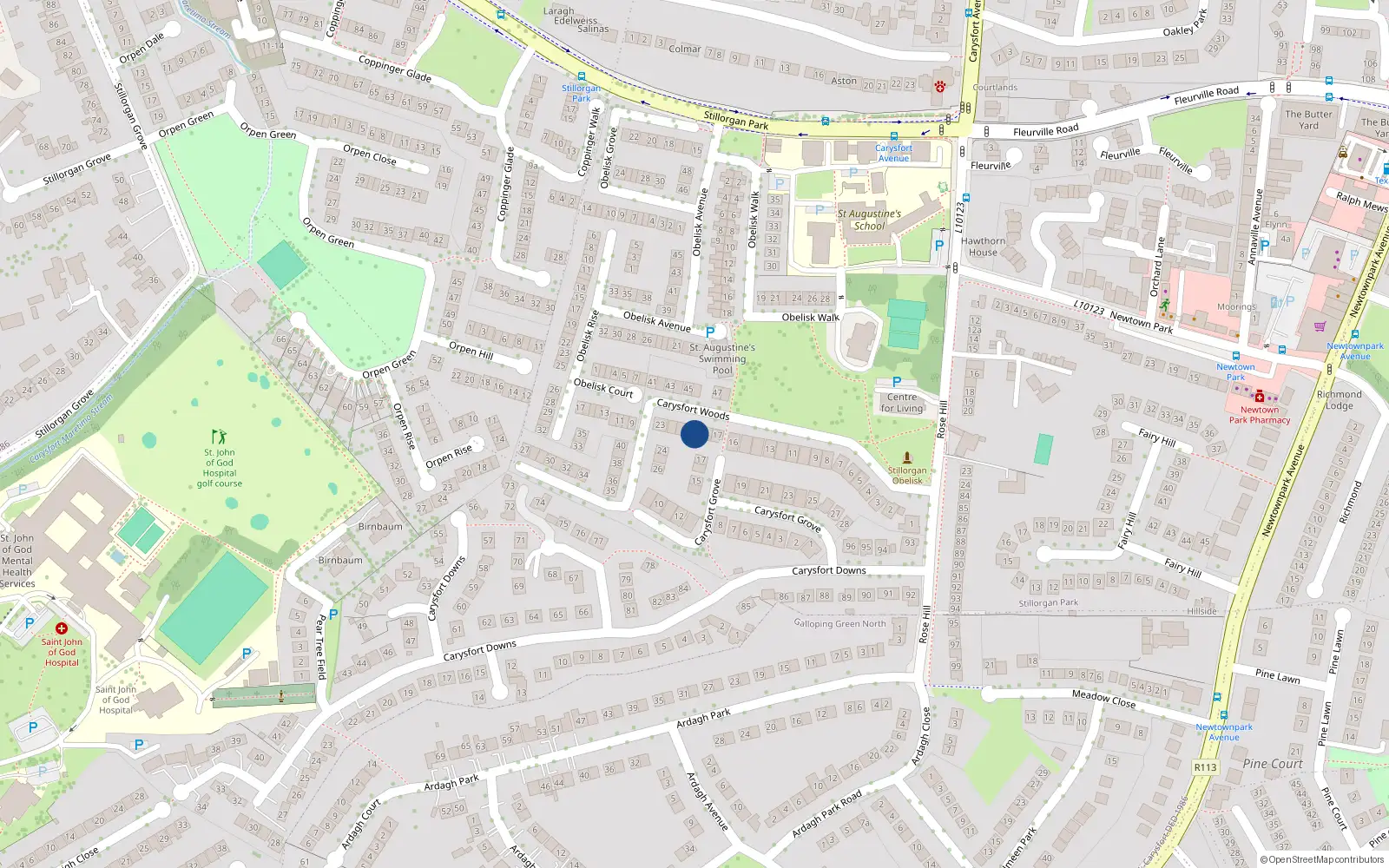 Overhead map showing the location of 19 Carysfort Woods, Blackrock, Dublin
