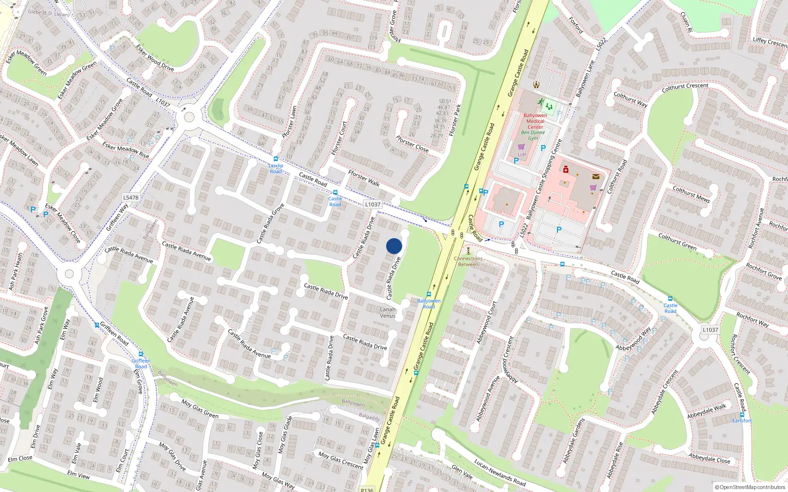 Overhead map showing the location of 19 Castle Riada Drive, Lucan