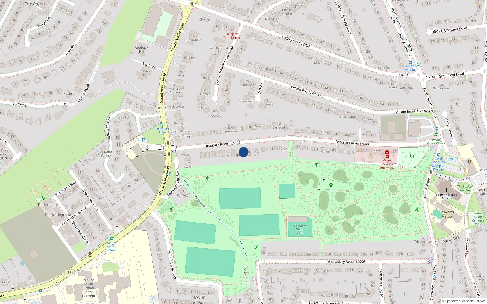 Overhead map showing the location of 19 Deerpark Road, Blackrock
