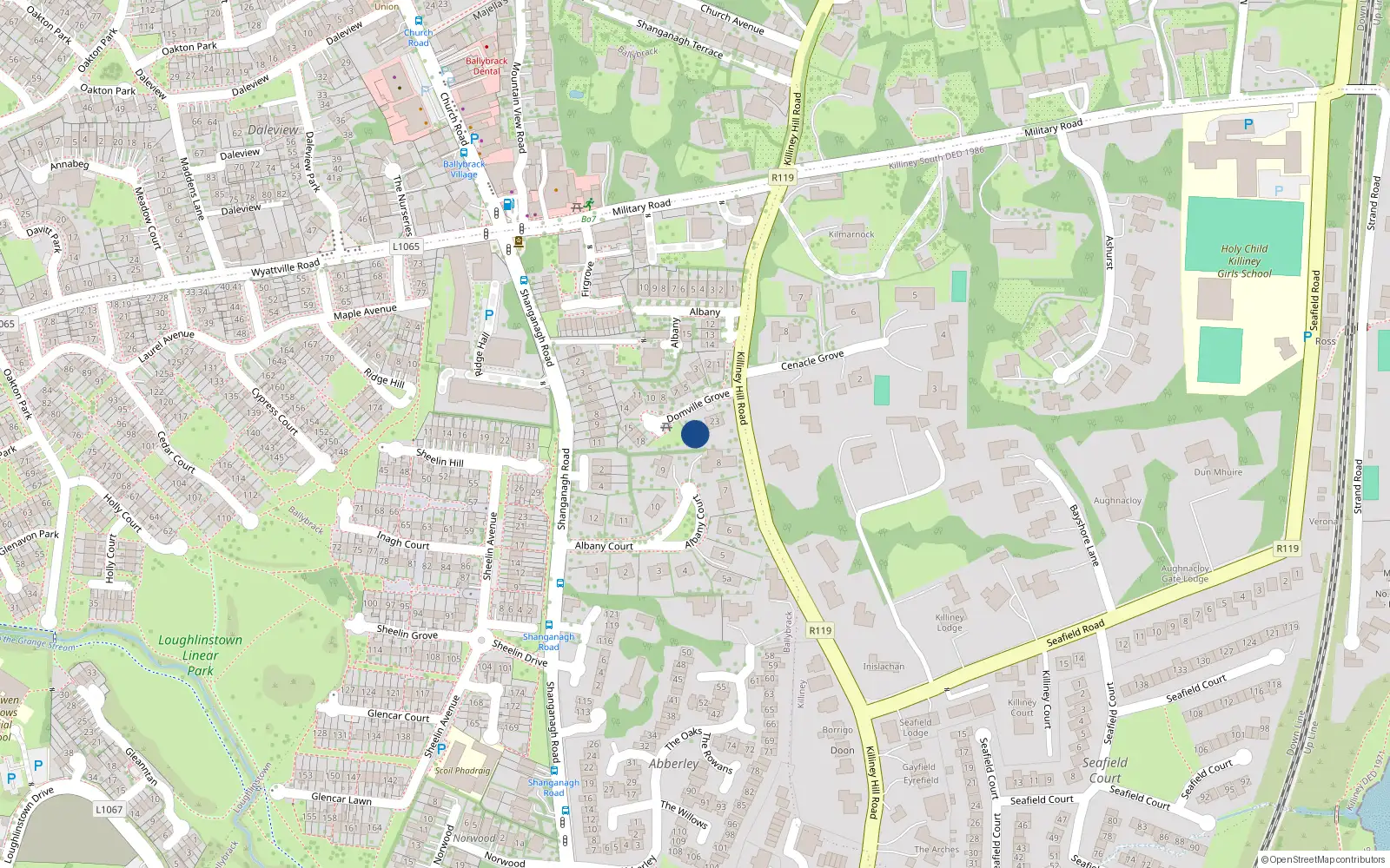 Overhead map showing the location of 19 Domville Grove, Killiney