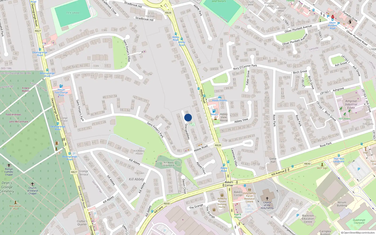 Overhead map showing the location of 19 Grangeabbey, Blackrock