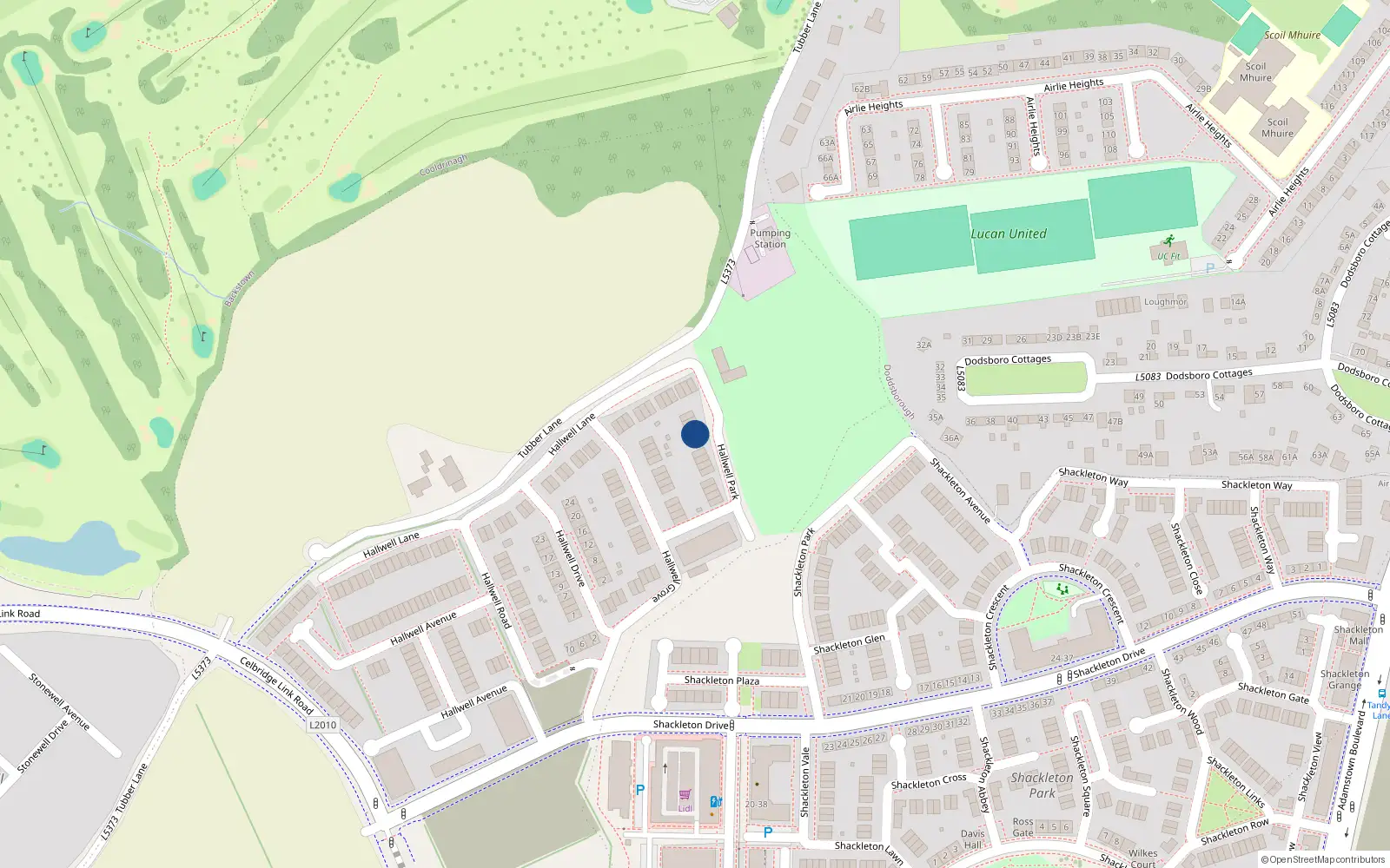 Overhead map showing the location of 19 Hallwell Park, Lucan