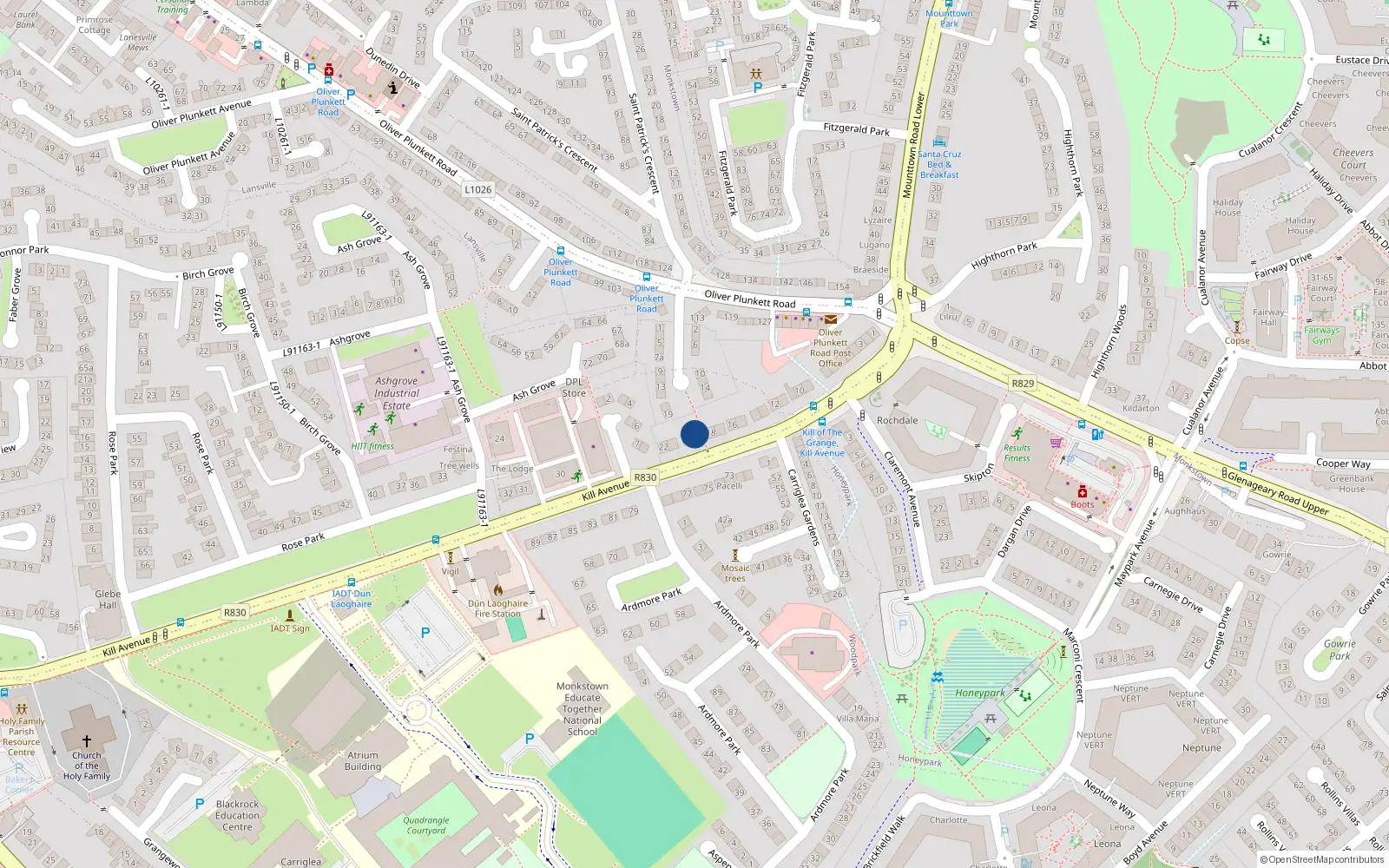 Overhead map showing the location of 19 Kill Avenue, Dublin
