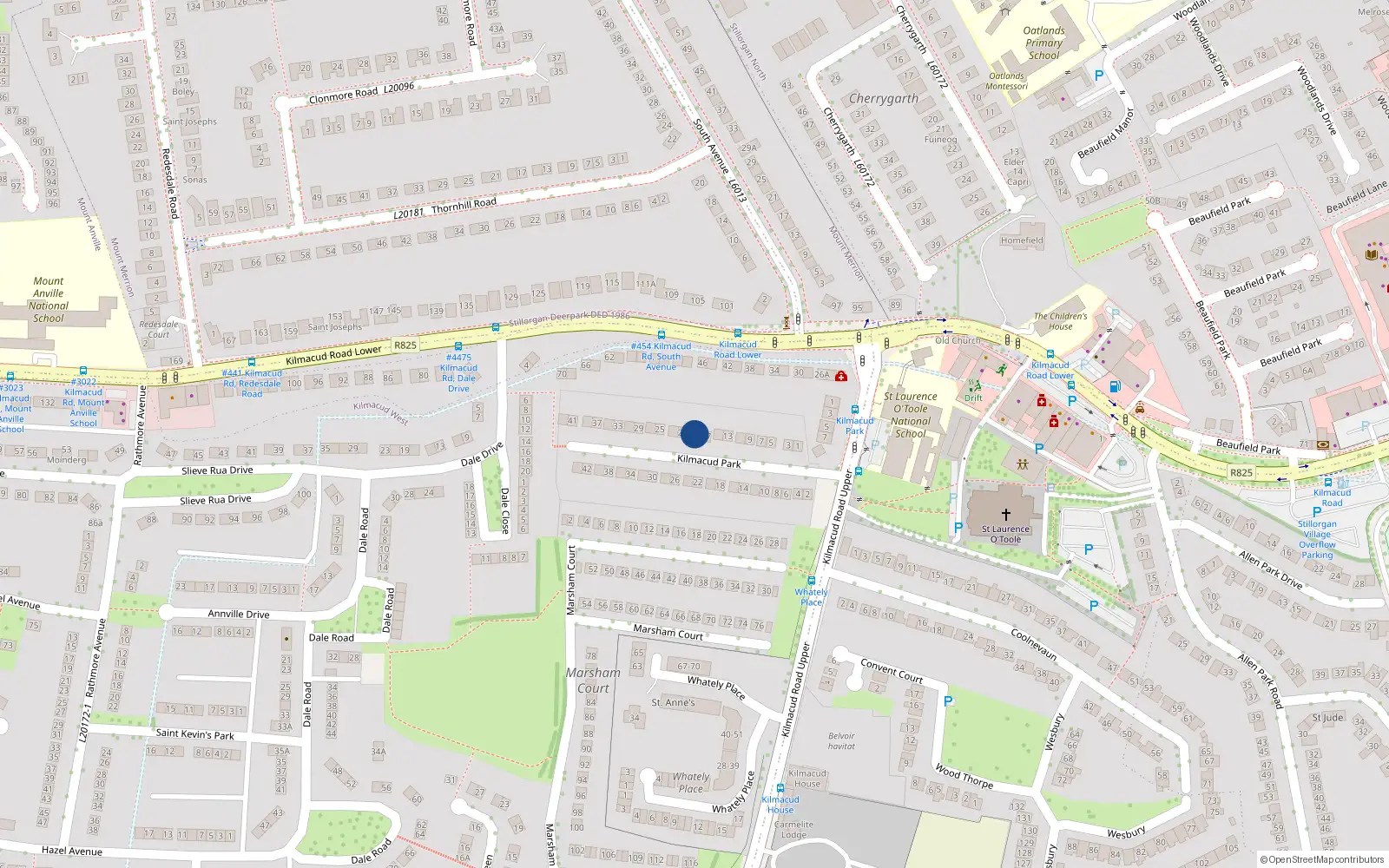 Overhead map showing the location of 19 Kilmacud Park, Blackrock