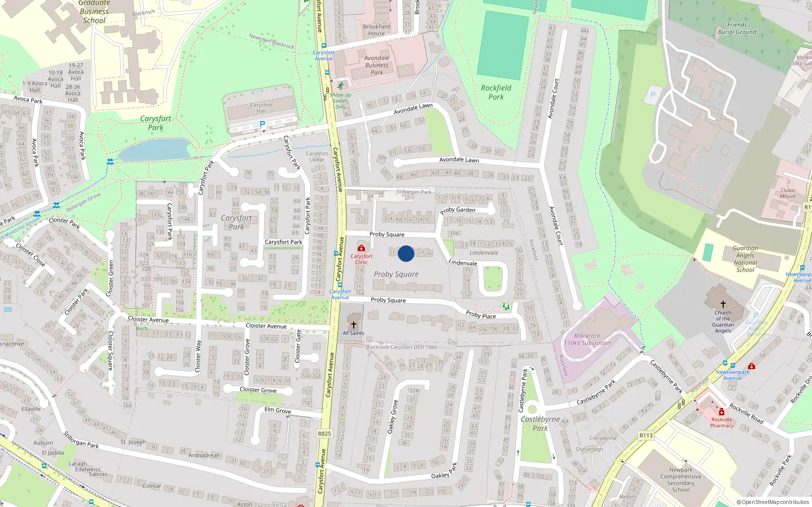 Overhead map showing the location of 19 Lindenvale, Proby Square, Blackrock