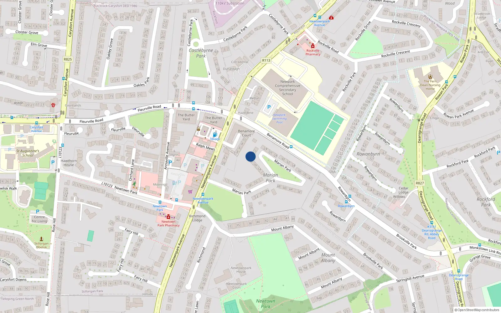 Overhead map showing the location of 19 Marian Park, Blackrock