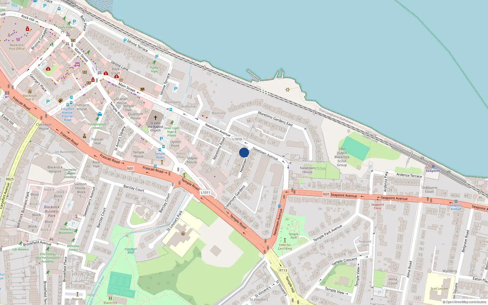 Overhead map showing the location of 19 Newtown Villas, Blackrock