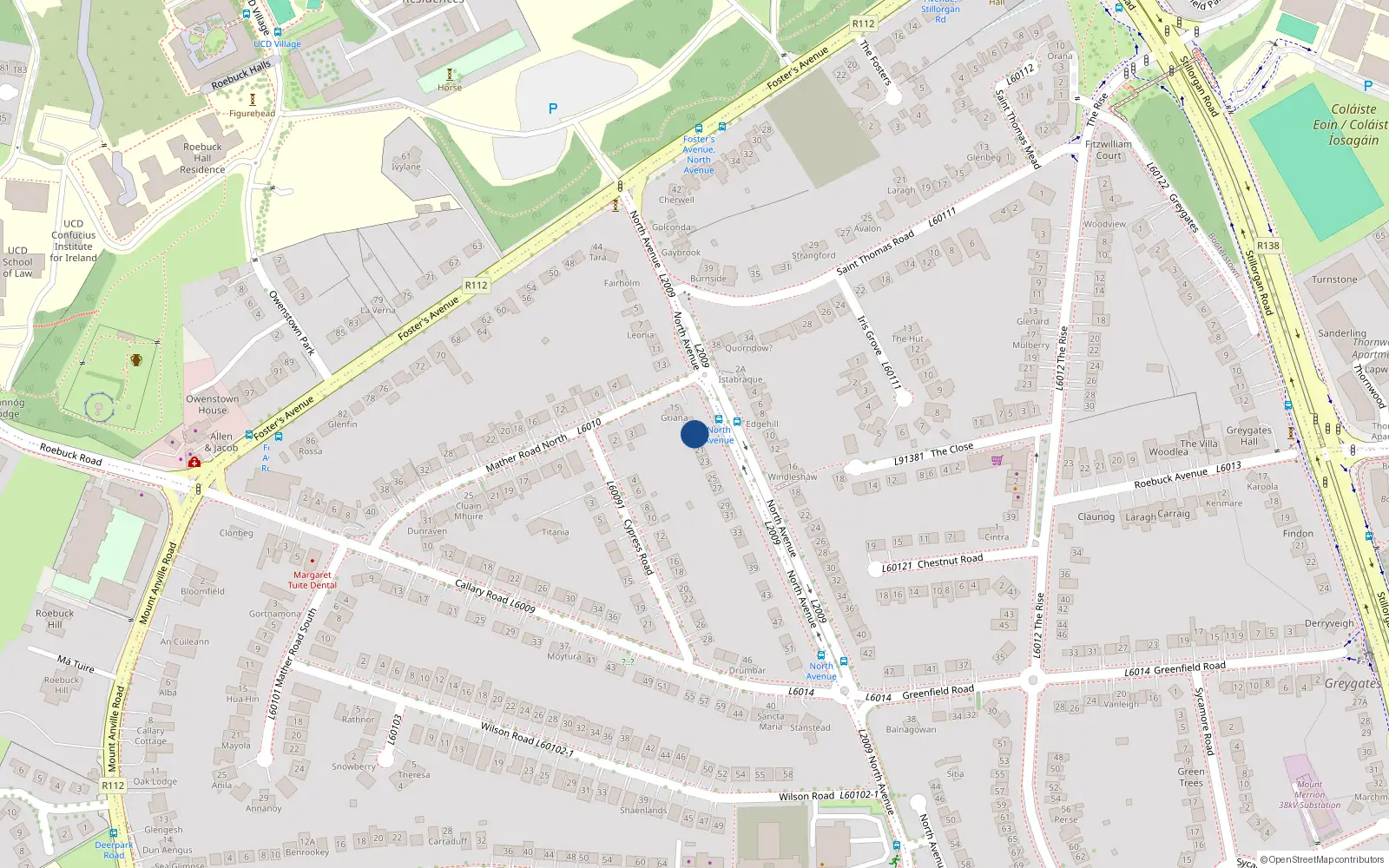 Overhead map showing the location of 19 North Avenue, Blackrock