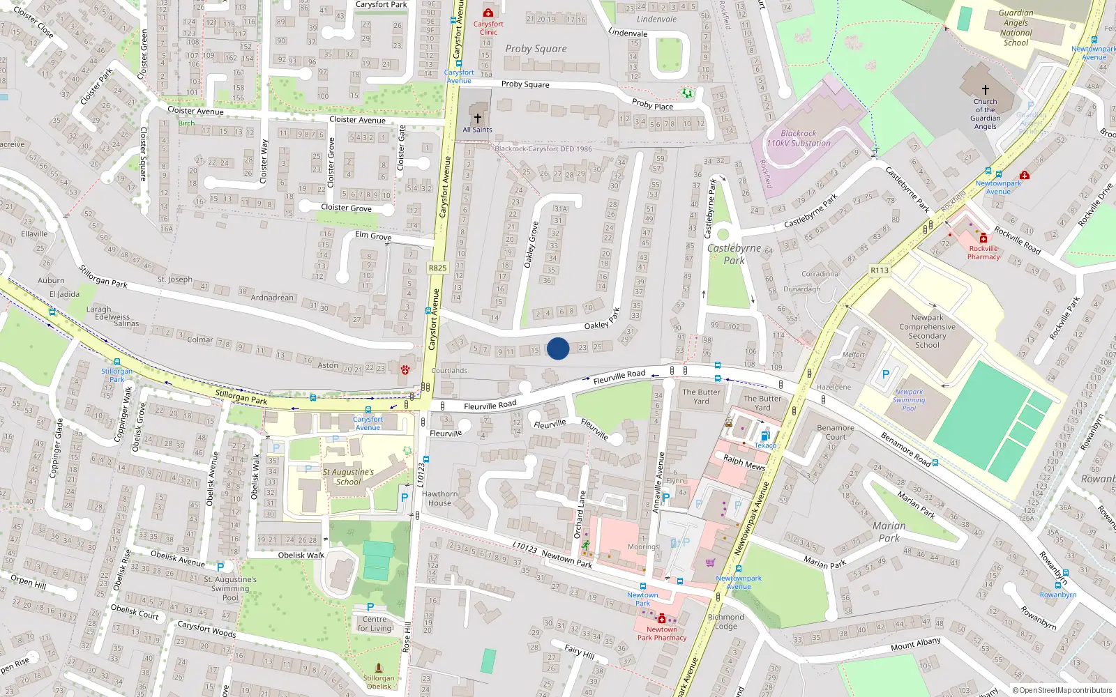 Overhead map showing the location of 19 Oakley Park, Blackrock