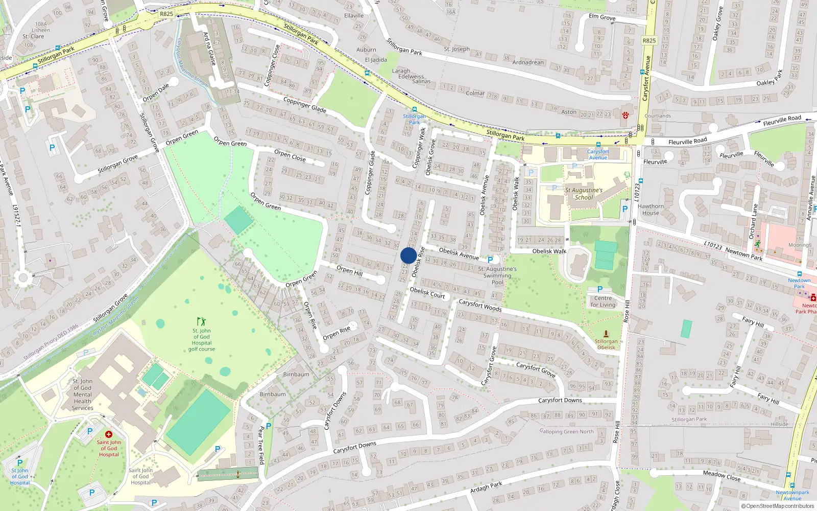 Overhead map showing the location of 19 Obelisk Rise, St Augustines Park, Blackrock