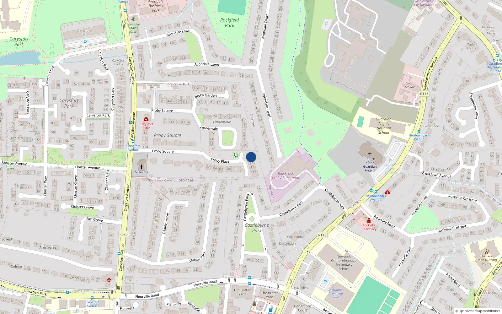 Overhead map showing the location of 19 Proby Place, Blackrock