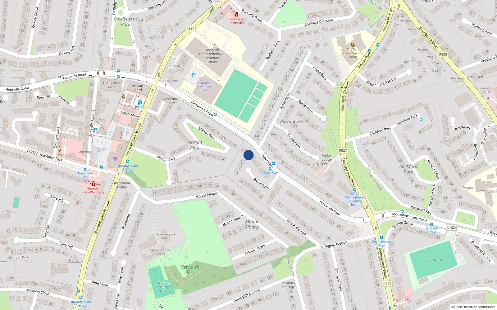 Overhead map showing the location of 19 Rowanbyrn, Blackrock
