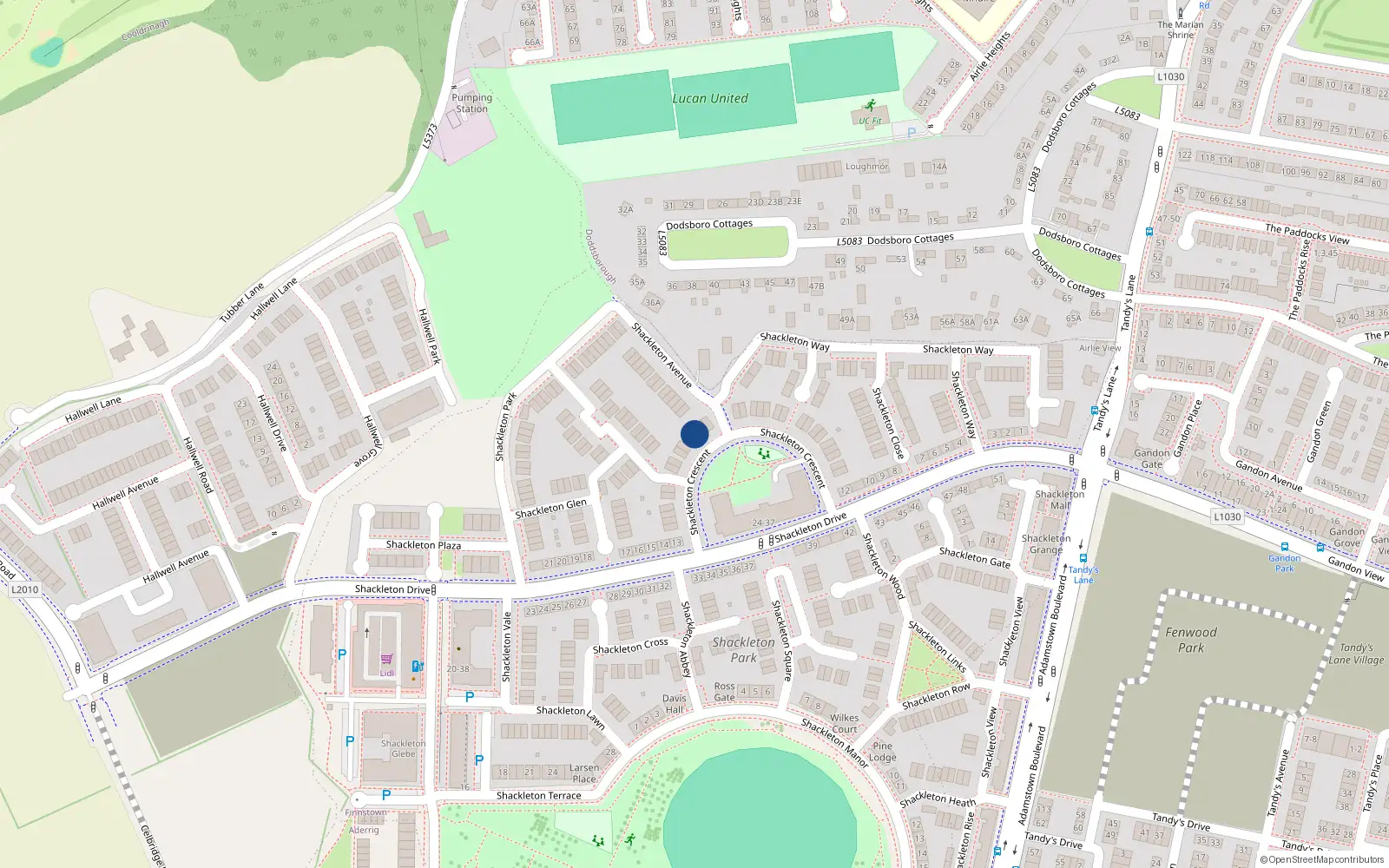 Overhead map showing the location of 19 Shackleton Crescent, Lucan