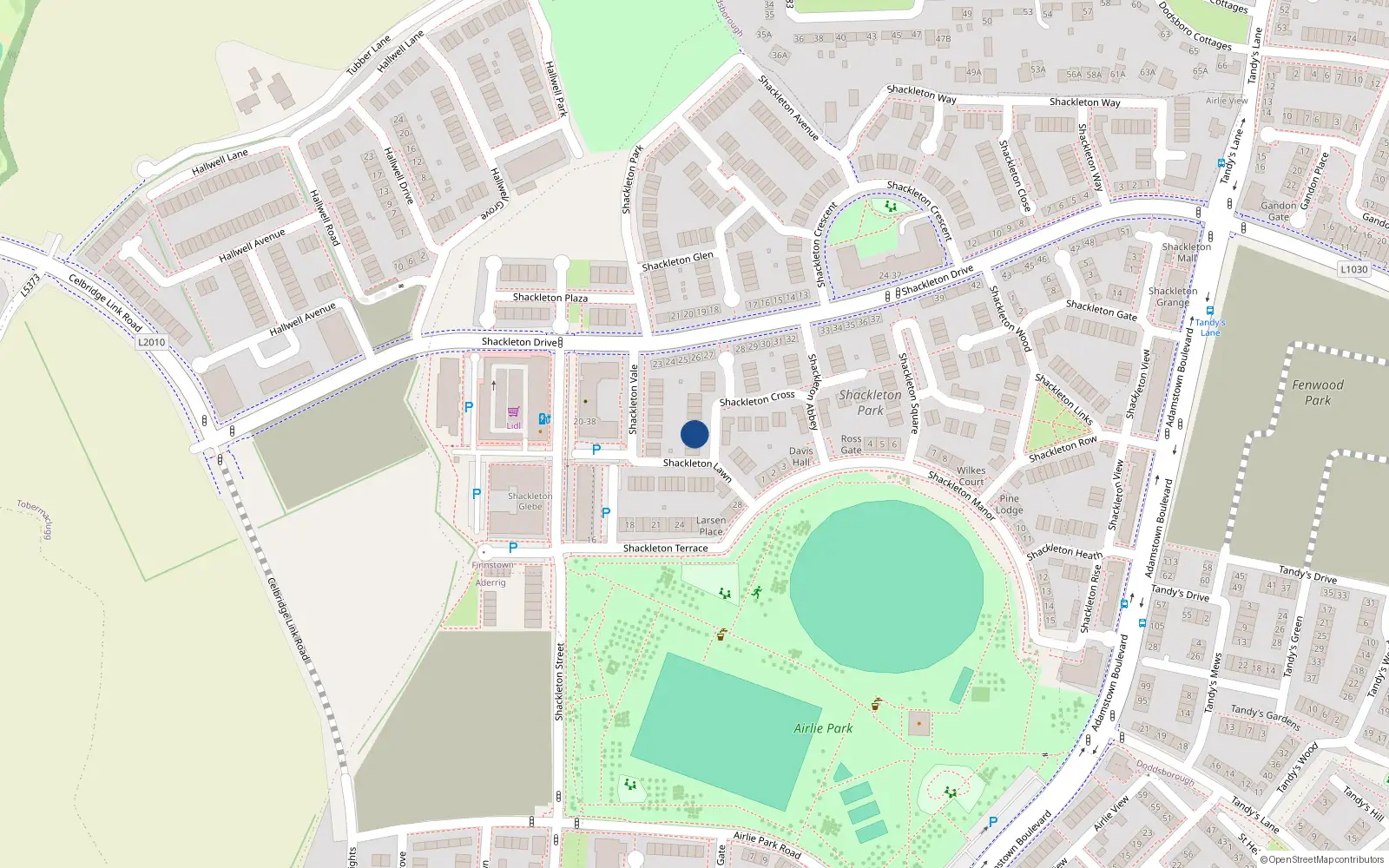 Overhead map showing the location of 19 Shackleton Cross, Lucan