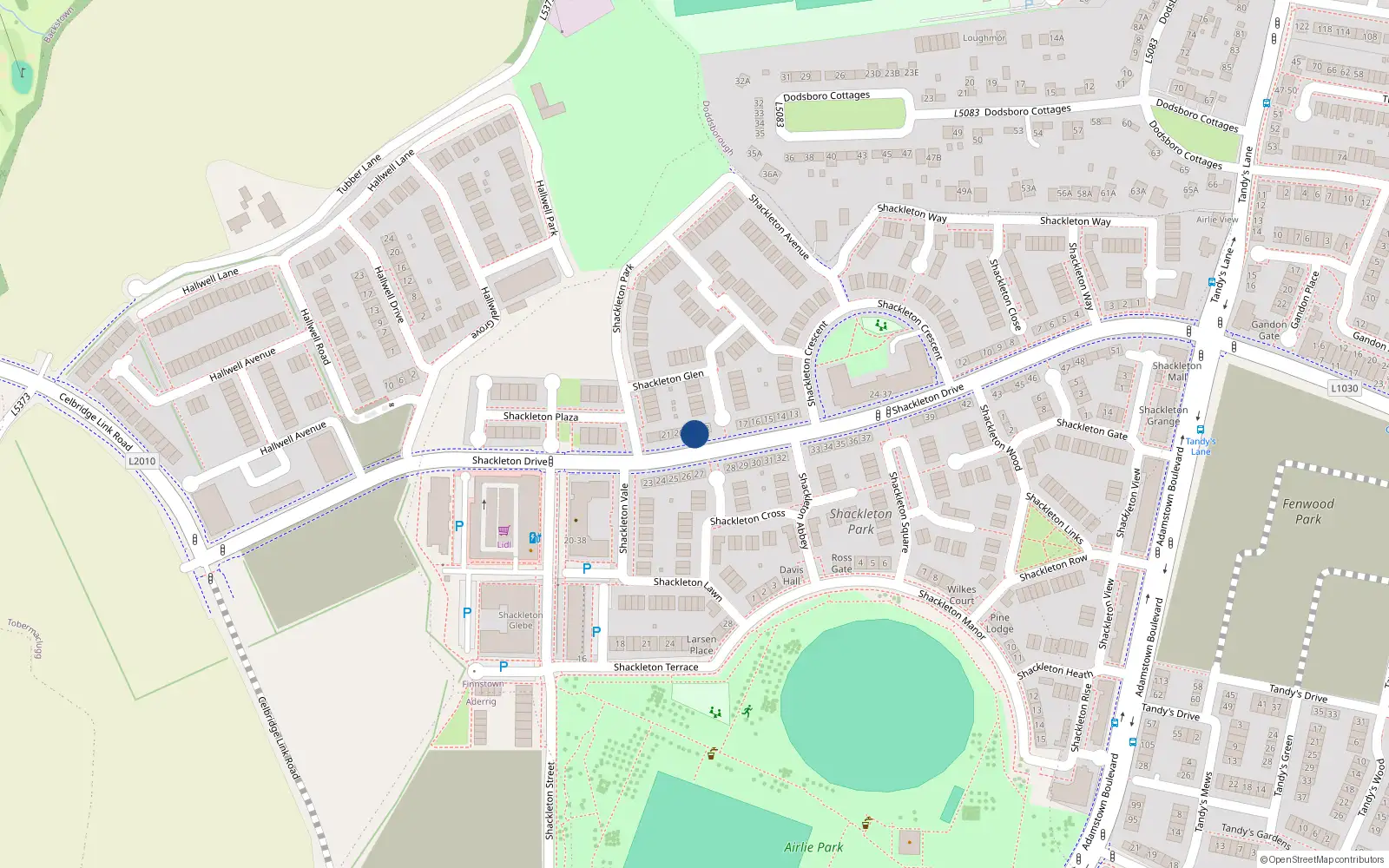 Overhead map showing the location of 19 Shackleton Drive, Lucan