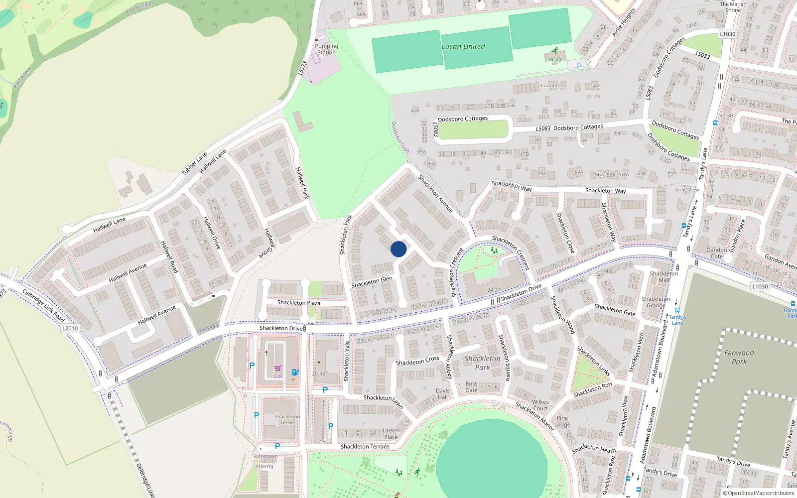 Overhead map showing the location of 19 Shackleton Grove, Lucan