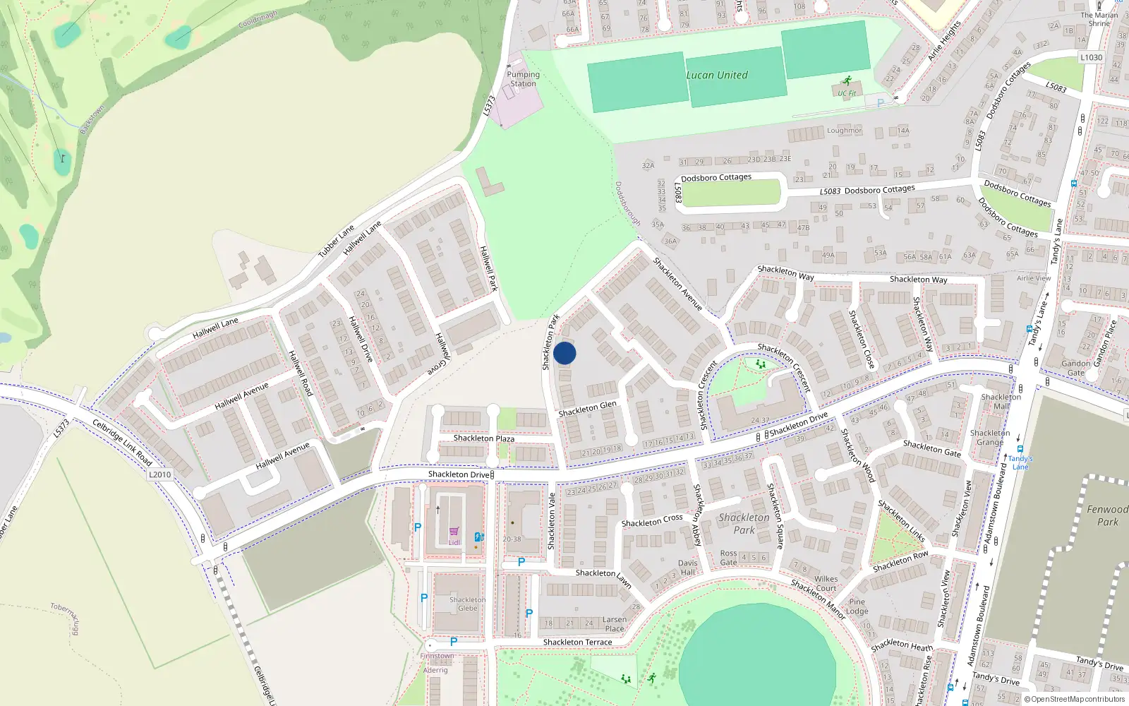 Overhead map showing the location of 19 Shackleton Park, Lucan
