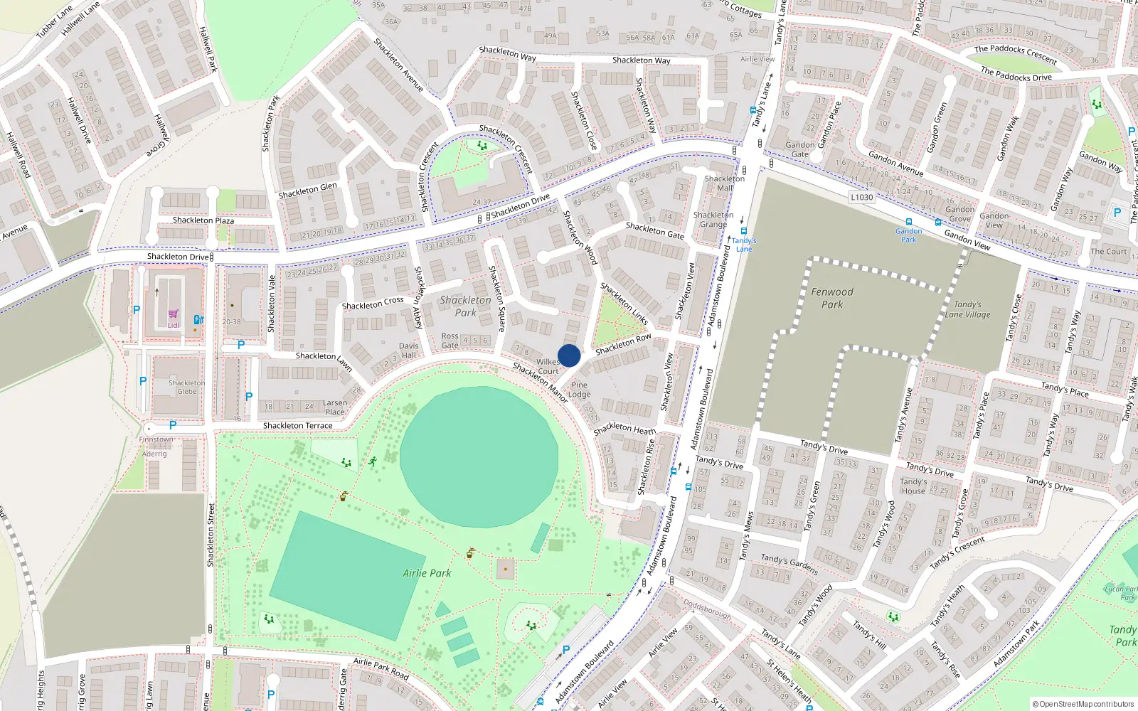 Overhead map showing the location of 19 Shackleton Wood, Lucan