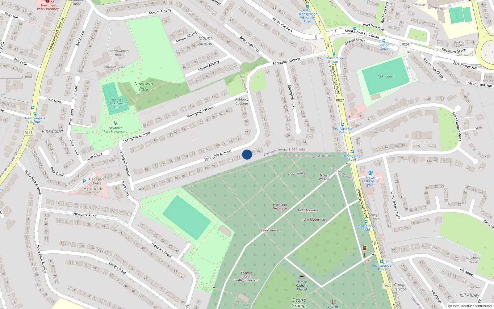 Overhead map showing the location of 19 Springhill Avenue, Blackrock