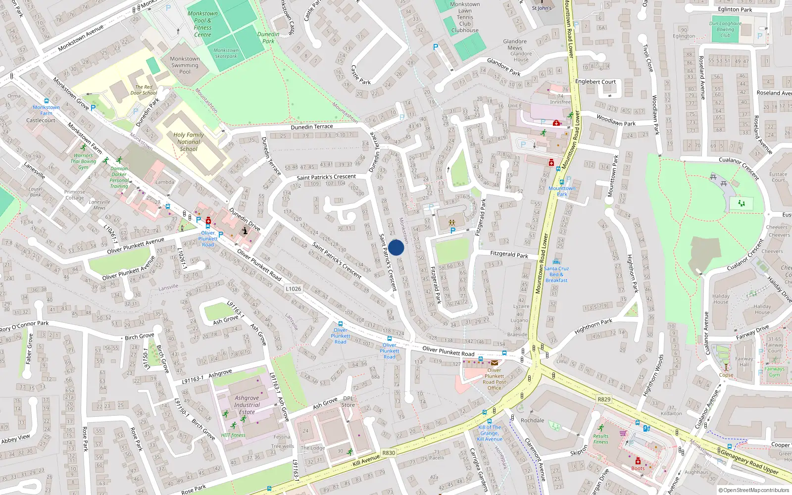 Overhead map showing the location of 19 St Patricks Crescent, Monkstown Farm, Dun Laoghaire