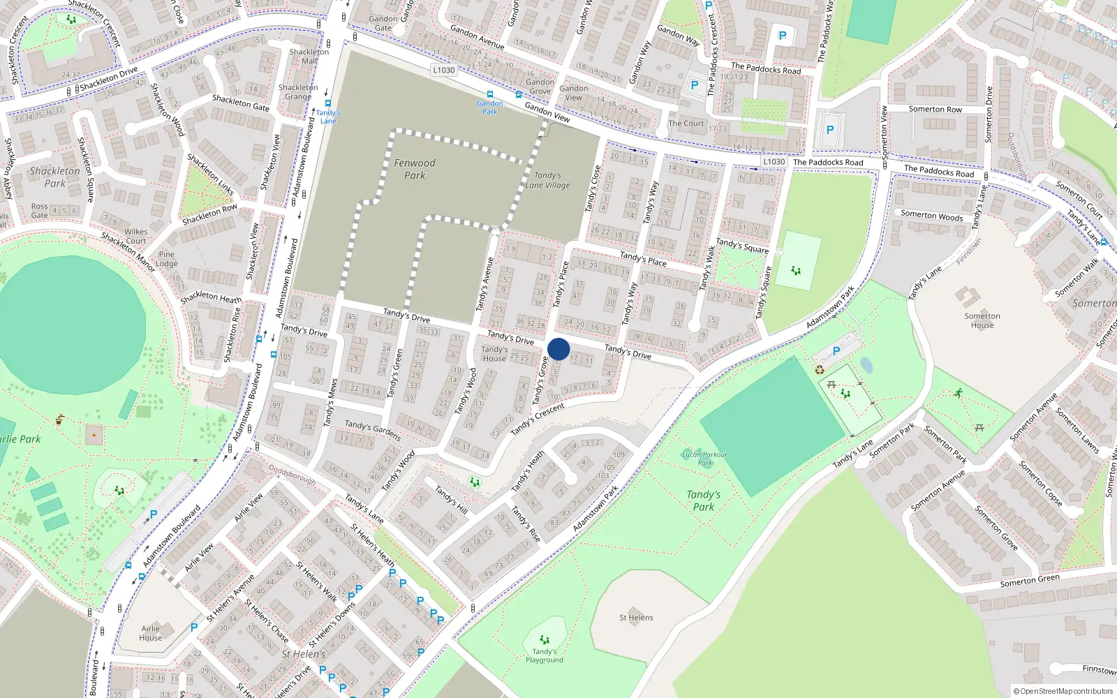 Overhead map showing the location of 19 Tandy's Drive, Lucan