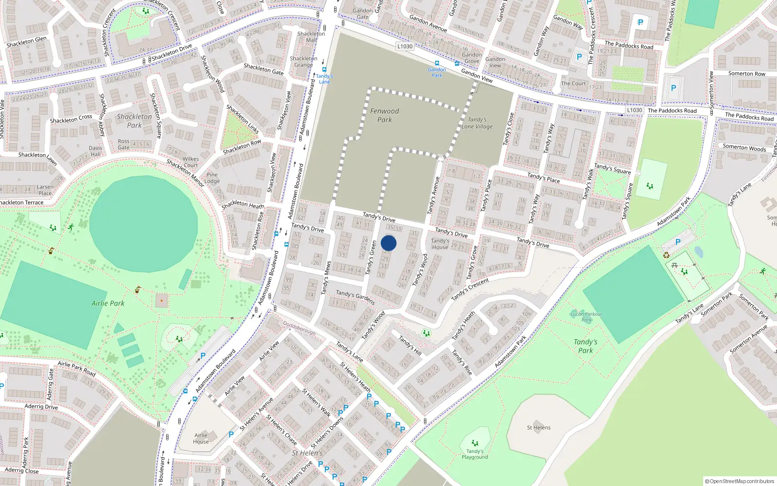 Overhead map showing the location of 19 Tandy's Green, Adamstown, Lucan