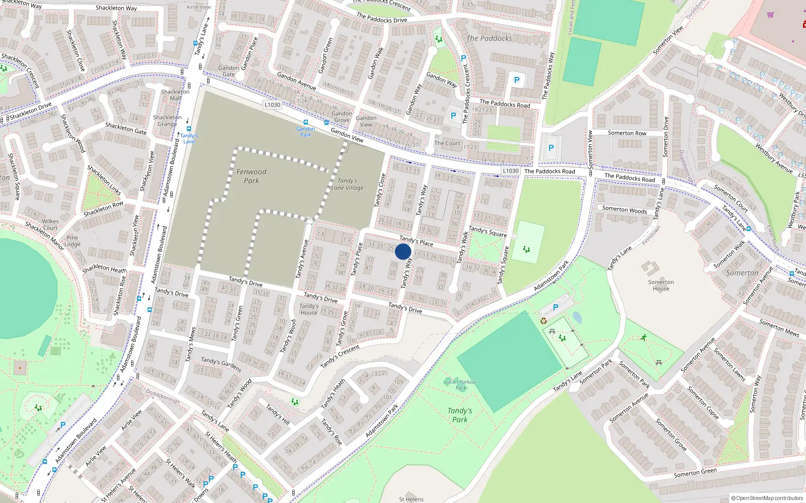 Overhead map showing the location of 19 Tandy's Place, Lucan