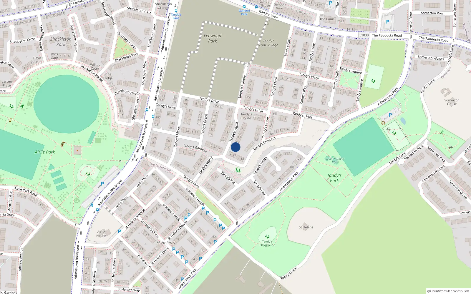 Overhead map showing the location of 19 Tandy's Wood, Lucan