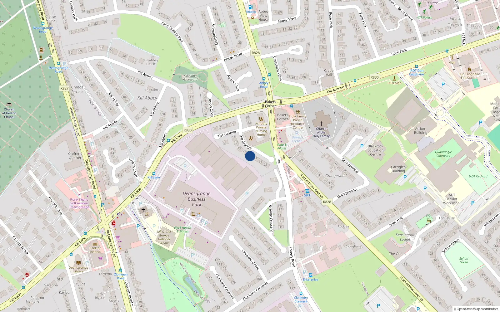 Overhead map showing the location of 19 The Grange, Blackrock