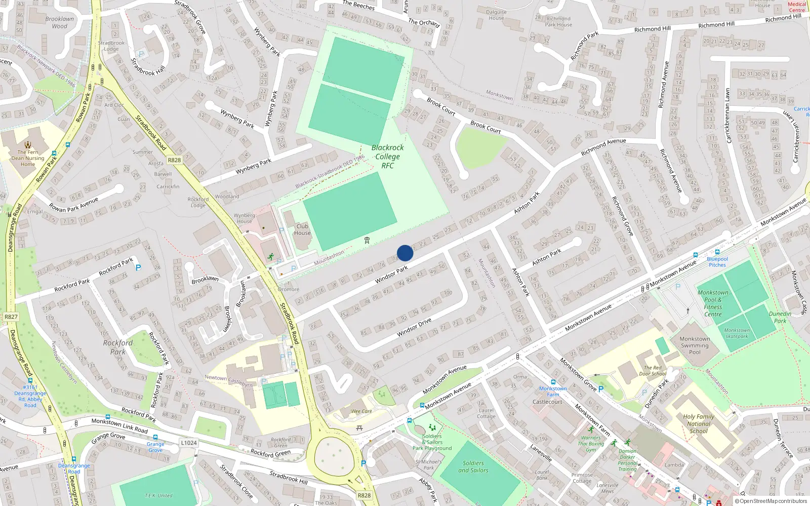 Overhead map showing the location of 19 Windsor Park, Monkstown