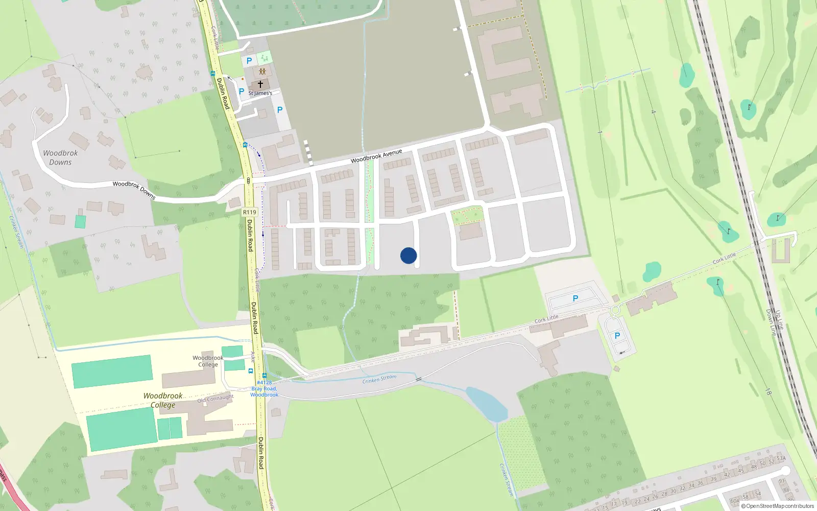 Overhead map showing the location of 19 Woodbrook Copse, Bray