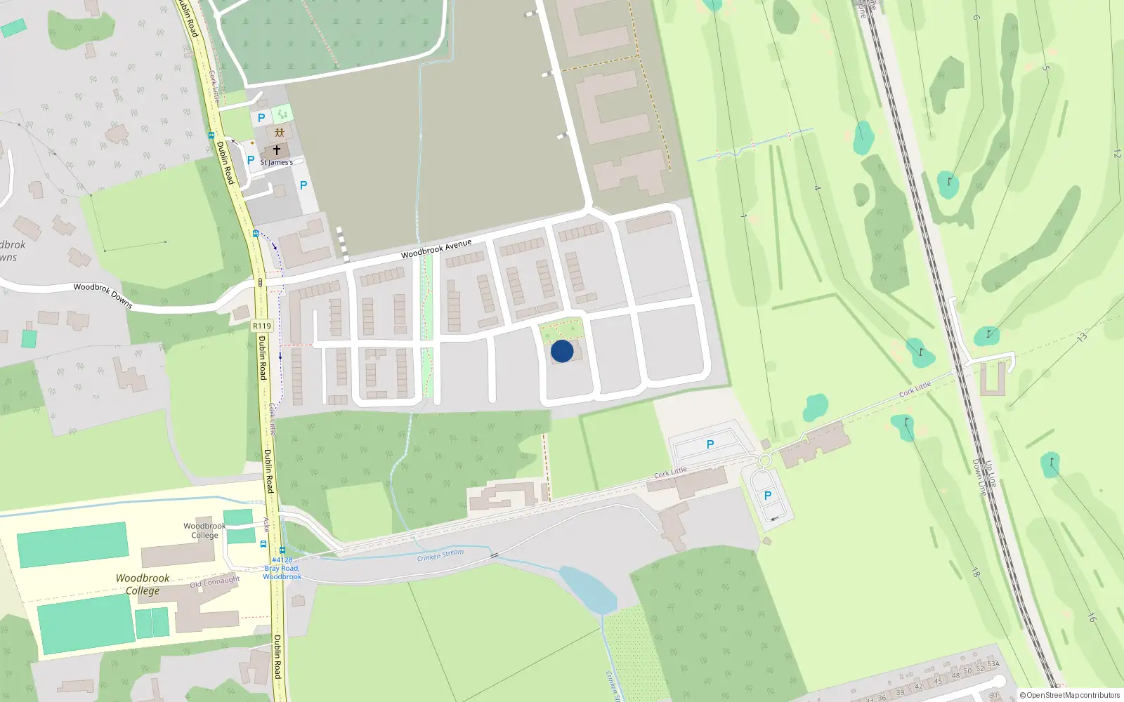 Overhead map showing the location of 19 Woodbrook, Bray