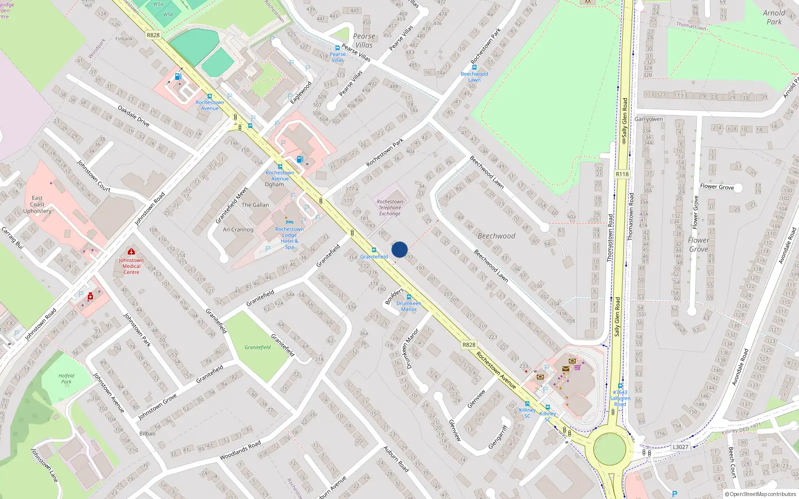 Overhead map showing the location of 191 Rochestown Avenue, Dublin