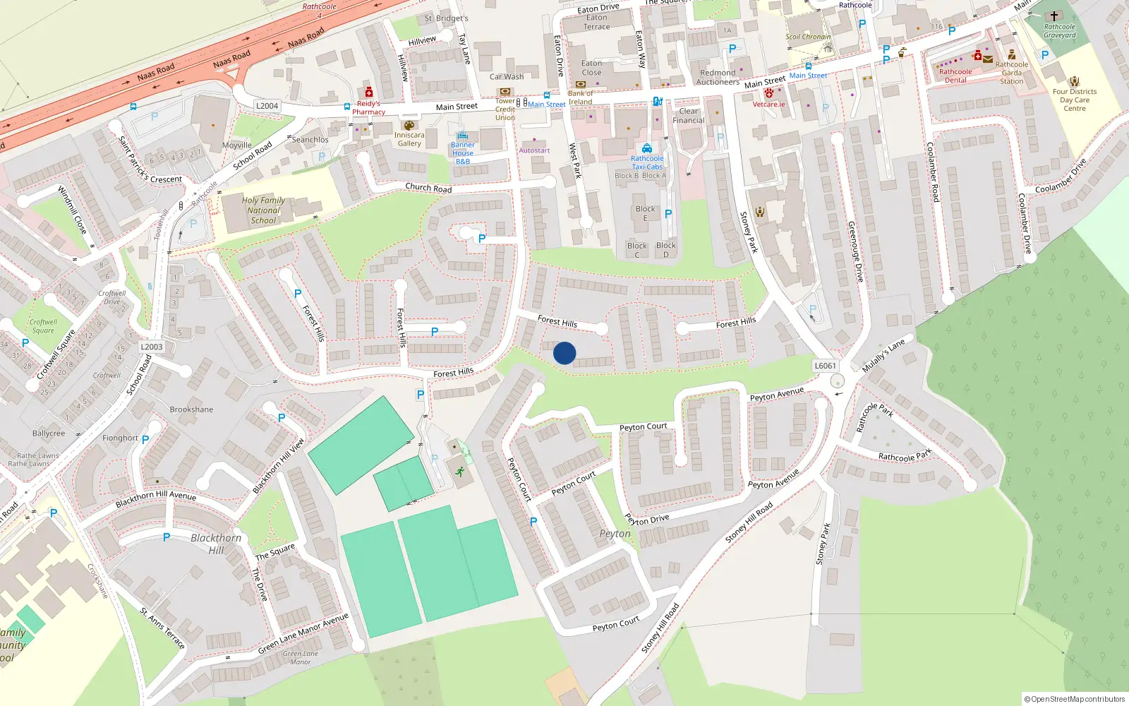 Overhead map showing the location of 192 Forest Hills, Rathcoole