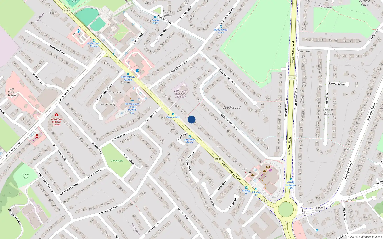 Overhead map showing the location of 195 Rochestown Avenue, Dublin