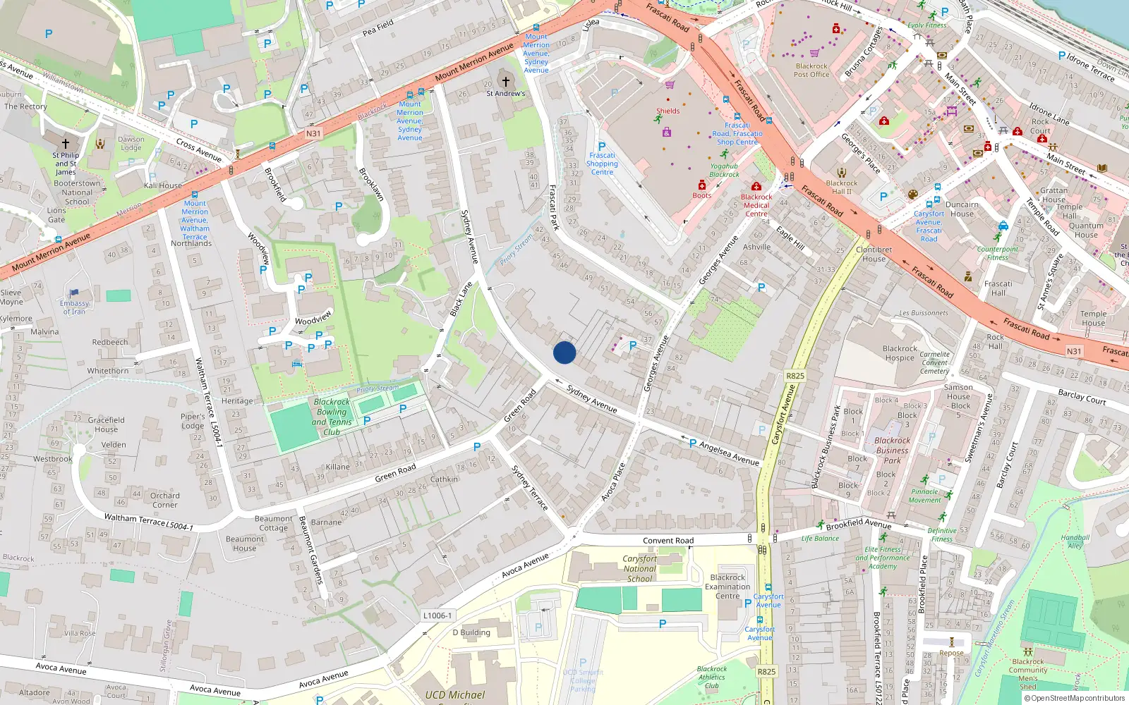 Overhead map showing the location of 19A Sydney Avenue, Blackrock