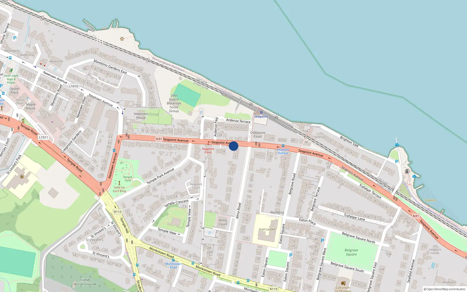 Overhead map showing the location of 1A Alma Road, Blackrock